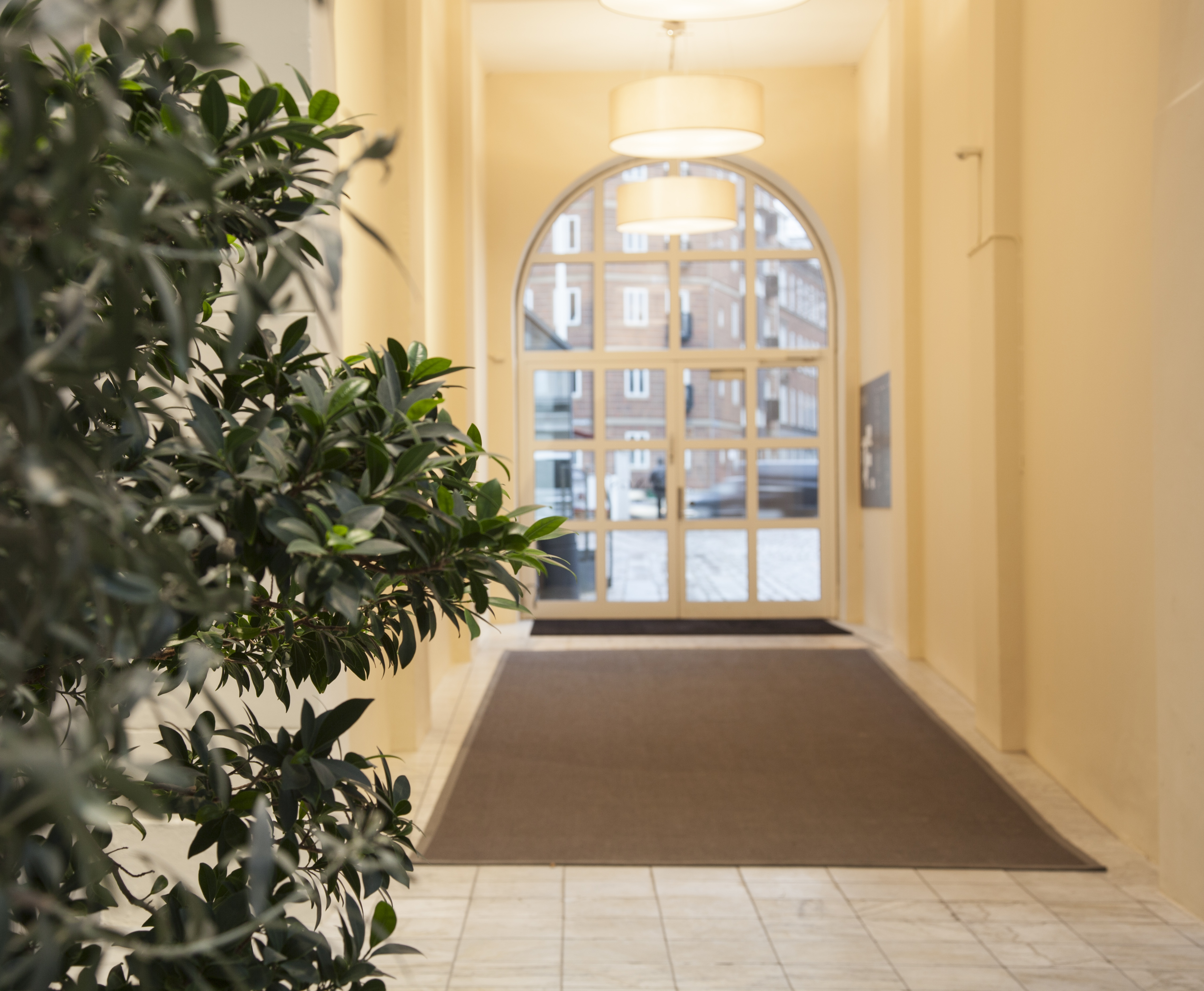 Bing, Mellau_6..afpassede tæpper, sisal